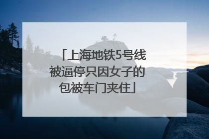 上海地铁5号线被逼停只因女子的包被车门夹住