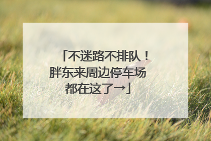 不迷路不排队！胖东来周边停车场都在这了→
