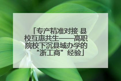 专产精准对接 县校互惠共生——高职院校下沉县域办学的“浙工商”经验