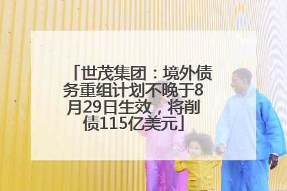 世茂集团：境外债务重组计划不晚于8月29日生效，将削债115亿美元