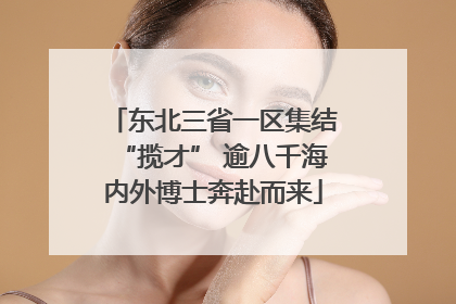 东北三省一区集结“揽才” 逾八千海内外博士奔赴而来