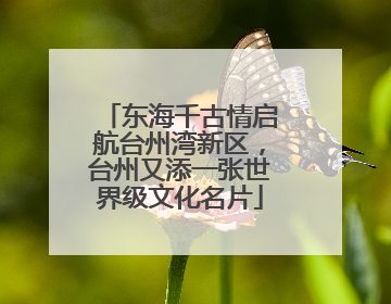 东海千古情启航台州湾新区，台州又添一张世界级文化名片