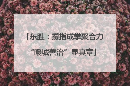 东胜：攥指成拳聚合力 “暖城善治”显真章