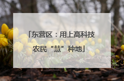 东营区：用上高科技 农民“慧”种地