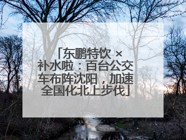 东鹏特饮 × 补水啦：百台公交车布阵沈阳，加速全国化北上步伐