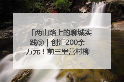 两山路上的聊城实践③｜创汇200余万元！前三里营村柳篱笆畅销西班牙