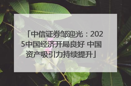 中信证券邹迎光：2025中国经济开局良好 中国资产吸引力持续提升
