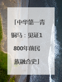 中华第一青铜马：见证1800年前民族融合史