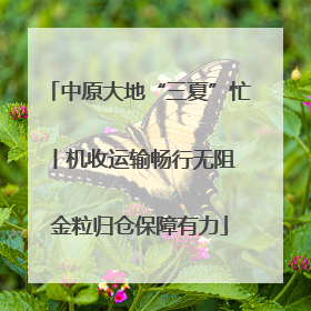 中原大地“三夏”忙丨机收运输畅行无阻 金粒归仓保障有力