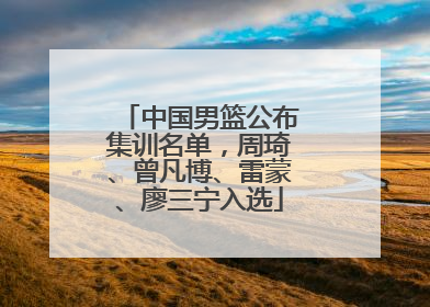 中国男篮公布集训名单，周琦、曾凡博、雷蒙、廖三宁入选