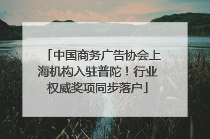 中国商务广告协会上海机构入驻普陀！行业权威奖项同步落户
