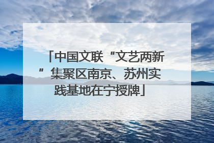 中国文联“文艺两新”集聚区南京、苏州实践基地在宁授牌
