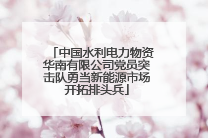 中国水利电力物资华南有限公司党员突击队勇当新能源市场开拓排头兵