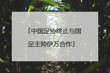 中国足协终止与国足主帅伊万合作