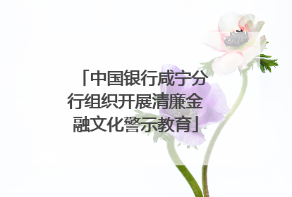 中国银行咸宁分行组织开展清廉金融文化警示教育