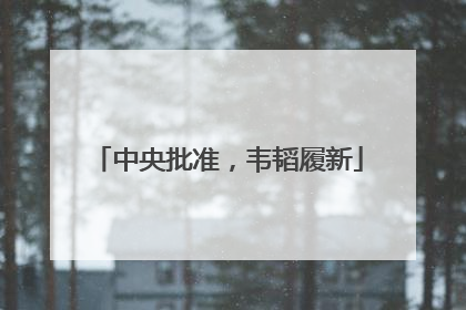 中央批准，韦韬履新