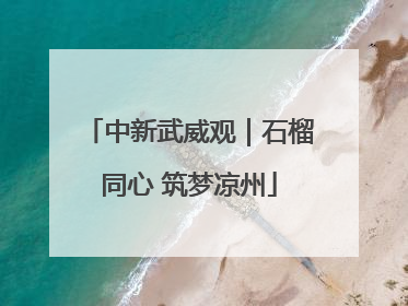 中新武威观｜石榴同心 筑梦凉州