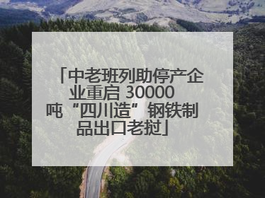 中老班列助停产企业重启 30000吨“四川造”钢铁制品出口老挝