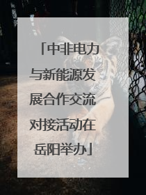 中非电力与新能源发展合作交流对接活动在岳阳举办