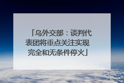 乌外交部：谈判代表团将重点关注实现完全和无条件停火
