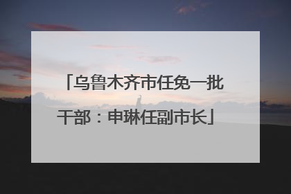 乌鲁木齐市任免一批干部：申琳任副市长