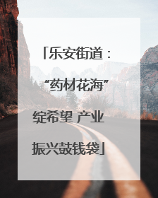 乐安街道：“药材花海”绽希望 产业振兴鼓钱袋