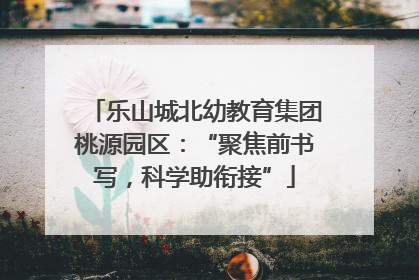 乐山城北幼教育集团桃源园区：“聚焦前书写，科学助衔接”
