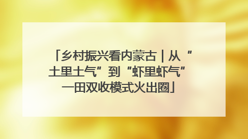 乡村振兴看内蒙古｜从“土里土气”到“虾里虾气” 一田双收模式火出圈