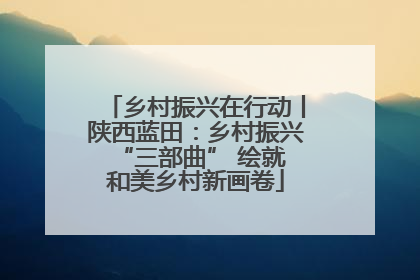 乡村振兴在行动丨陕西蓝田：乡村振兴 “三部曲” 绘就和美乡村新画卷