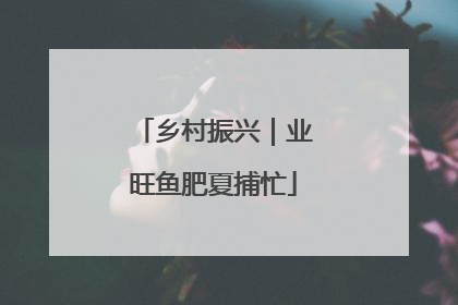 乡村振兴｜业旺鱼肥夏捕忙