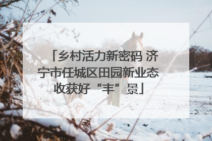 乡村活力新密码 济宁市任城区田园新业态收获好“丰”景