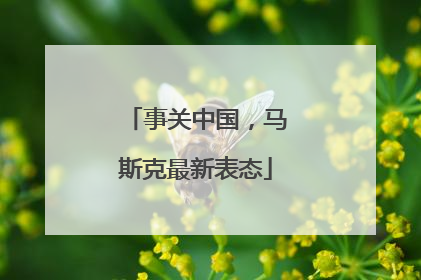 事关中国，马斯克最新表态