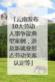 云南发布10大劳动人事争议典型案例，涉及新就业形态劳动关系认定等