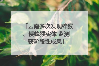 云南多次发现蜂猴、倭蜂猴实体 监测获阶段性成果