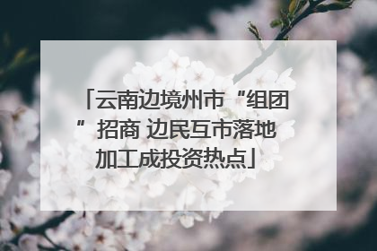 云南边境州市“组团”招商 边民互市落地加工成投资热点