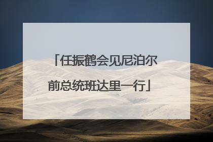 任振鹤会见尼泊尔前总统班达里一行