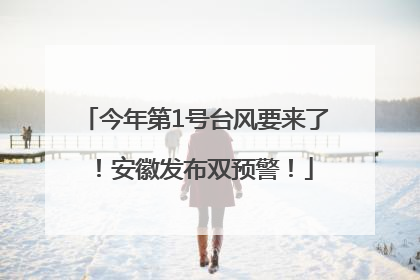 今年第1号台风要来了！安徽发布双预警！