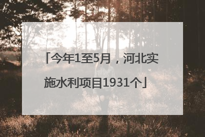 今年1至5月，河北实施水利项目1931个