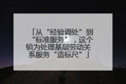 从“经验调处”到“标准服务”，这个镇为处理基层劳动关系服务“造标尺”