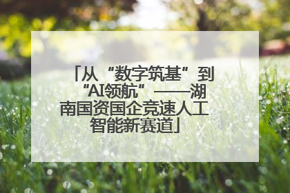 从“数字筑基”到“AI领航”——湖南国资国企竞速人工智能新赛道
