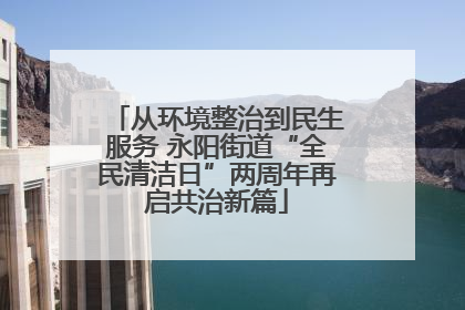 从环境整治到民生服务 永阳街道“全民清洁日”两周年再启共治新篇