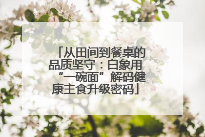 从田间到餐桌的品质坚守：白象用“一碗面”解码健康主食升级密码