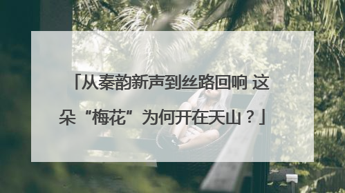 从秦韵新声到丝路回响 这朵“梅花”为何开在天山？