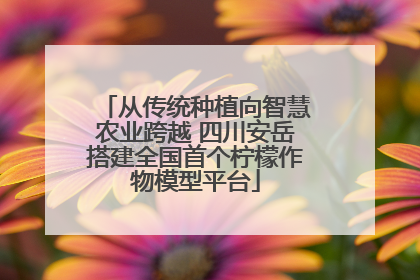 从传统种植向智慧农业跨越 四川安岳搭建全国首个柠檬作物模型平台