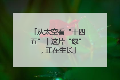 从太空看“十四五”｜这片“绿”，正在生长