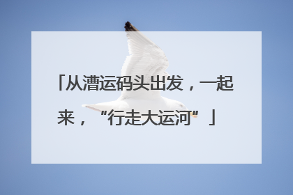 从漕运码头出发，一起来，“行走大运河”