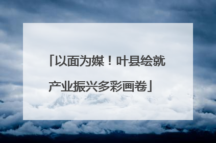 以面为媒！叶县绘就产业振兴多彩画卷