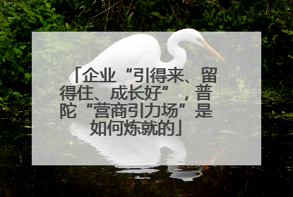 企业“引得来、留得住、成长好”，普陀“营商引力场”是如何炼就的