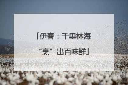 伊春：千里林海“烹”出百味鲜