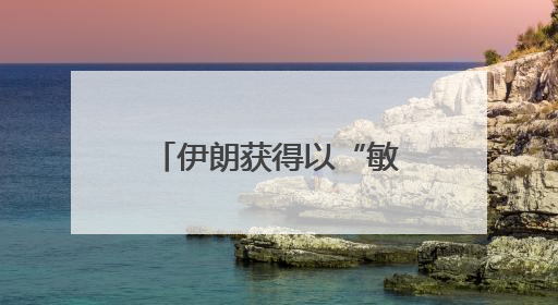 伊朗获得以“敏感文件” 消息人士称行动由被招募以定居者完成